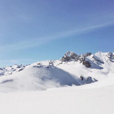 澳门一码一肖一特一中下载手机版截图